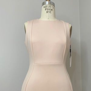Calvin Klein Scuba dress